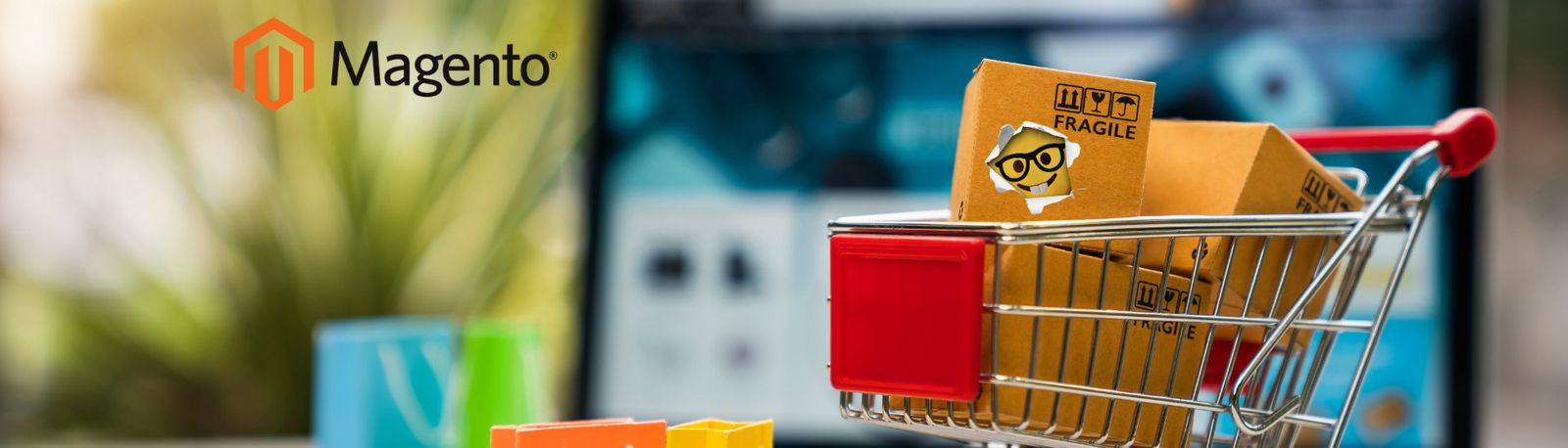 Einkaufswagen mit Magento Shop